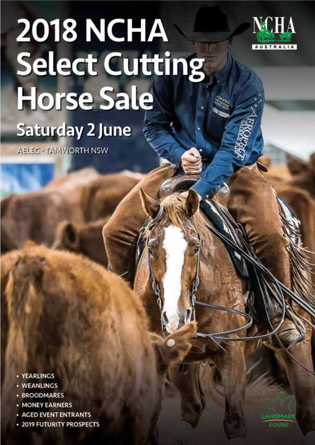2018 NCHA Select Cutting Horse Sale