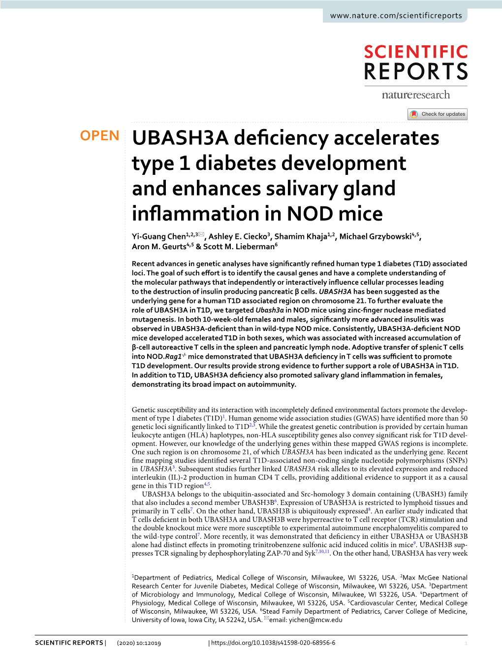 UBASH3A Deficiency Accelerates Type 1 Diabetes Development And