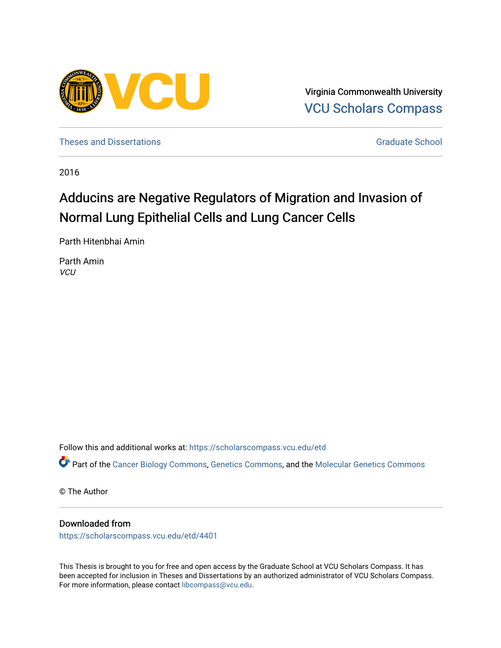 Adducins Are Negative Regulators of Migration and Invasion of Normal Lung Epithelial Cells and Lung Cancer Cells