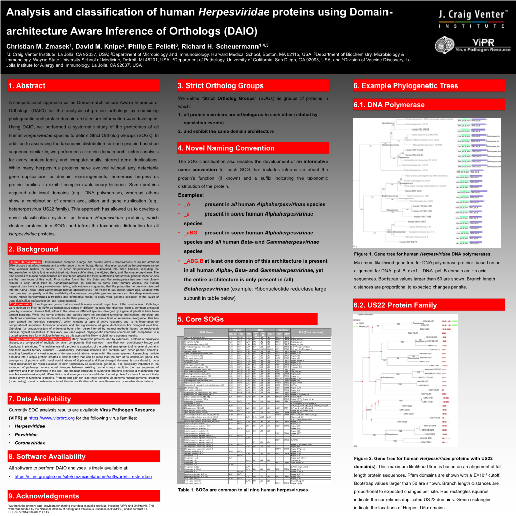 Analysis and Classification of Human Herpesviridae Proteins Using Domain- Architecture Aware Inference of Orthologs (DAIO) Christian M