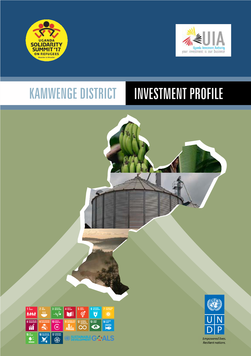 Kamwenge District Investment Profile