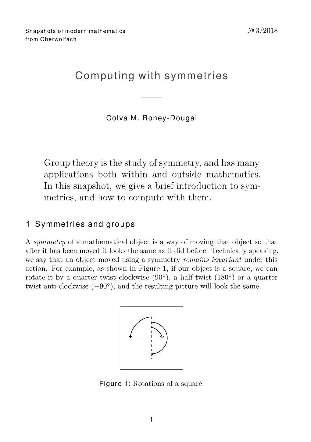 Computing with Symmetries