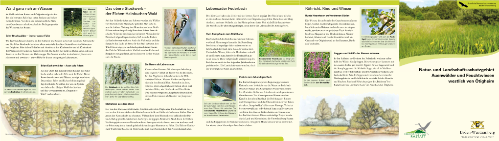 Natur- Und Landschaftsschutzgebiet Auenwälder Und Feuchtwiesen