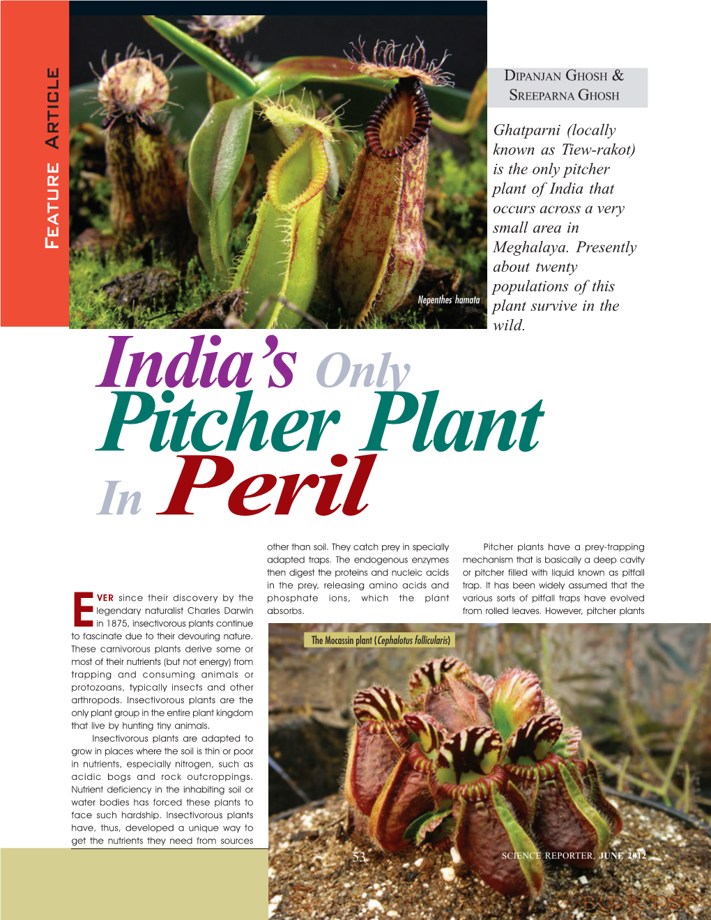 India's Only Pitcher Plant in Peril