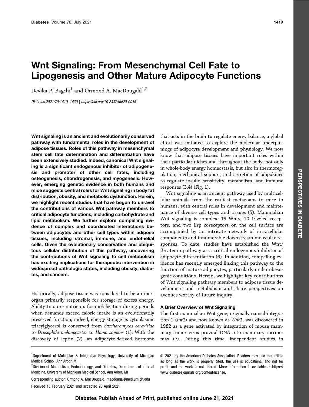 Wnt Signaling: from Mesenchymal Cell Fate to Lipogenesis and Other Mature Adipocyte Functions