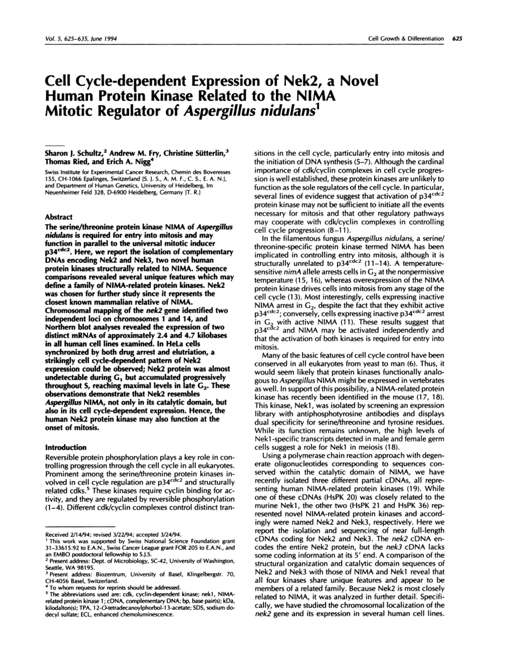 Cell Cycle-Dependent Expression of Nek2, a Novel Human Protein Kinase Related to the NIMA Mitotic Regulator of Aspergillus Nidulans’