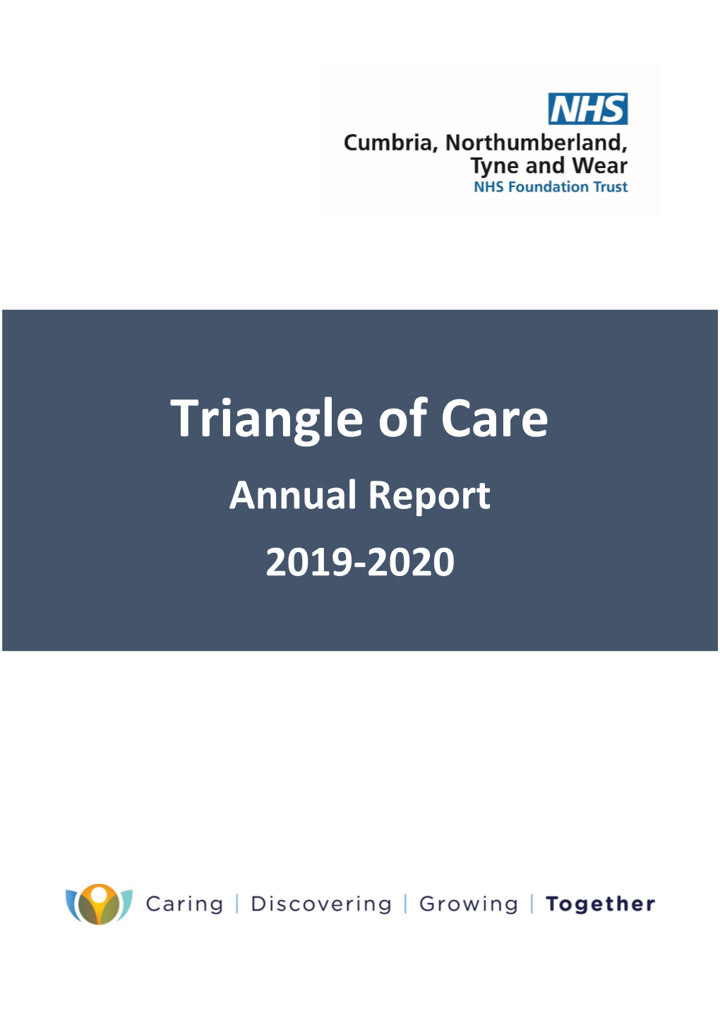 The Triangle of Care Annual Report