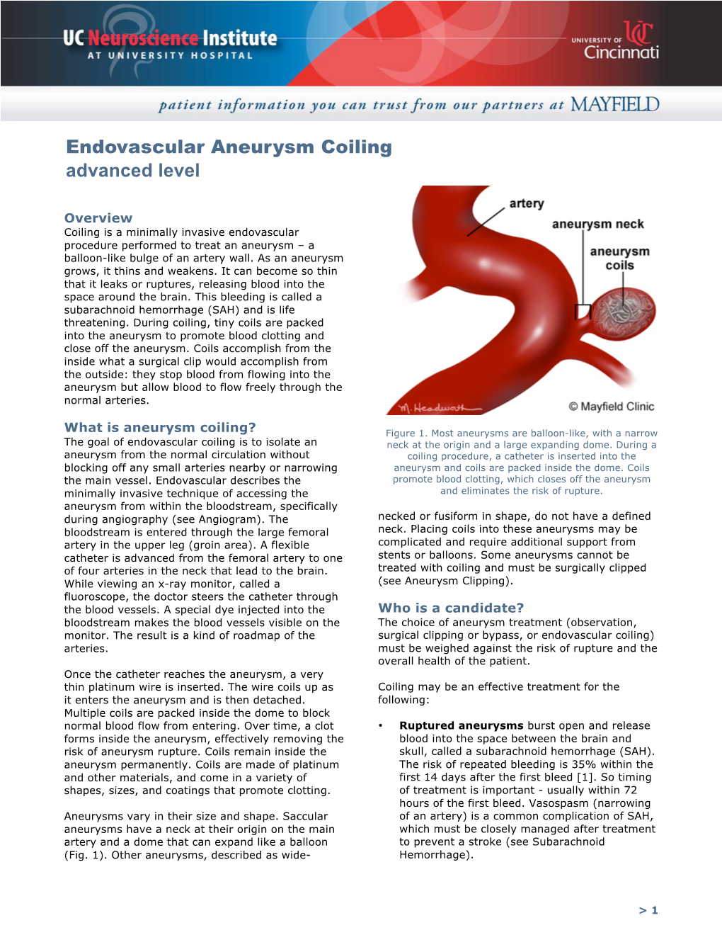 Endovascular Aneurysm Coiling Advanced Level