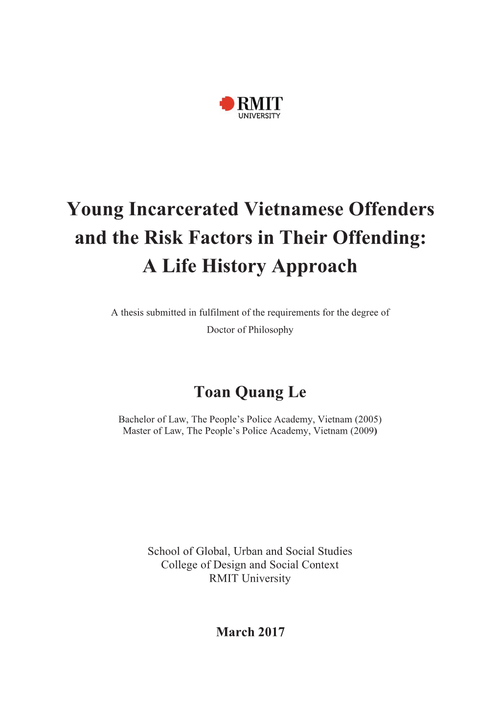 Young Incarcerated Vietnamese Offenders and the Risk Factors in Their Offending: a Life History Approach