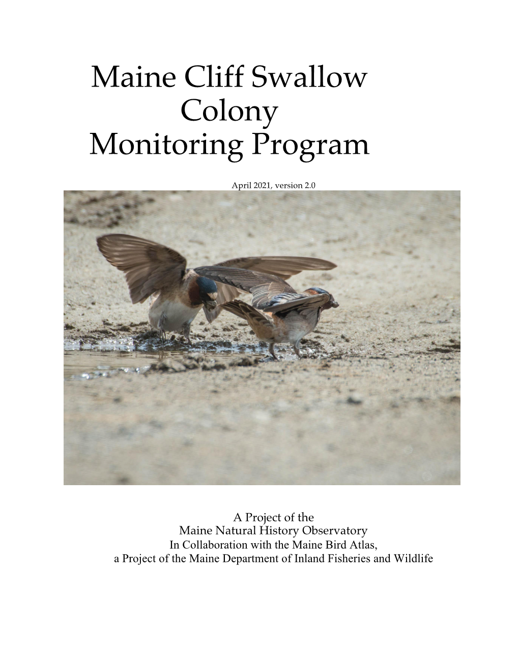 Cliff Swallow Monitoring Handbook