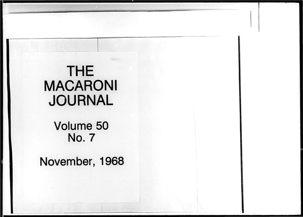 The Magaroni Journal