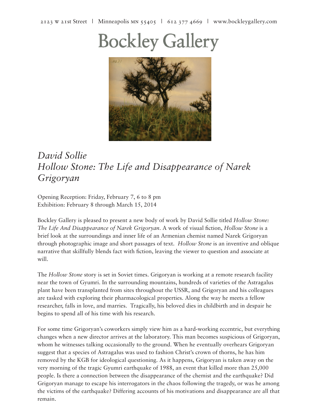 David Sollie Hollow Stone: the Life and Disappearance of Narek Grigoryan
