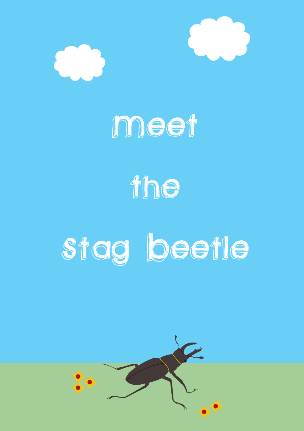 Meet the Stag Beetle Booklet