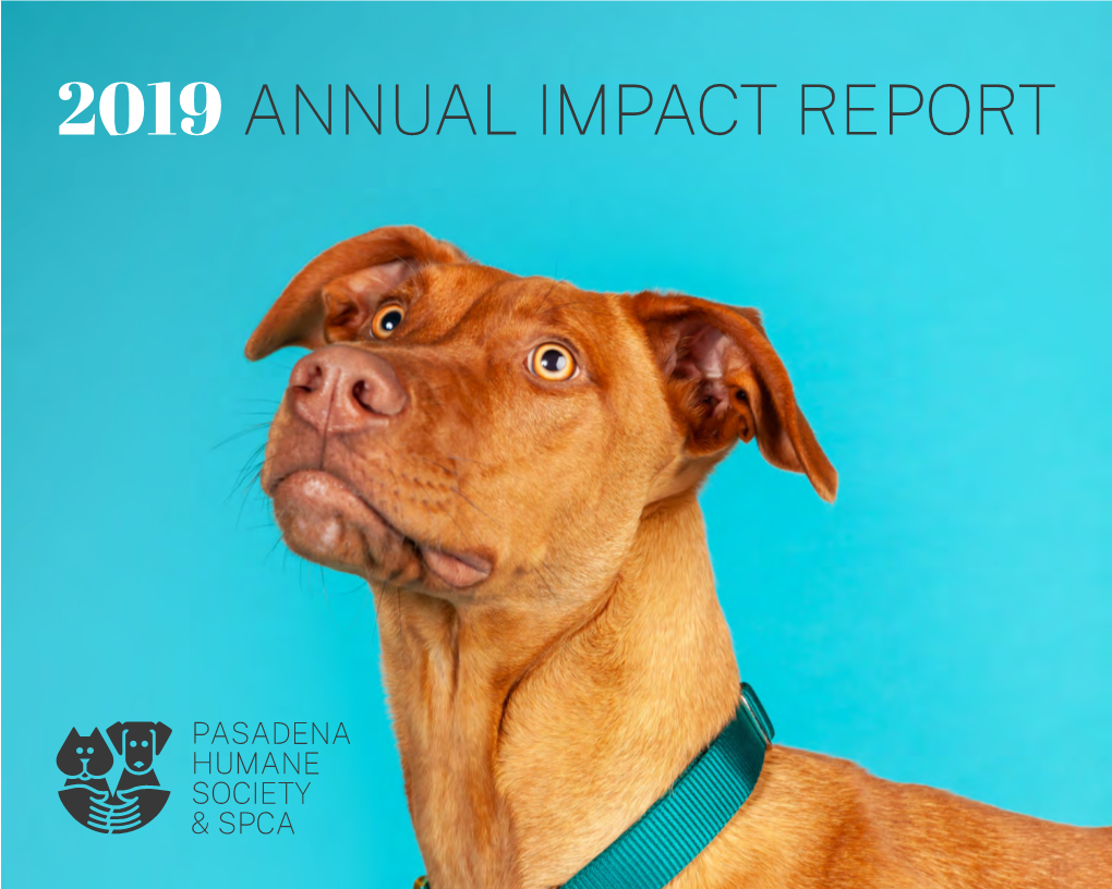 2019 Annual Impact Report