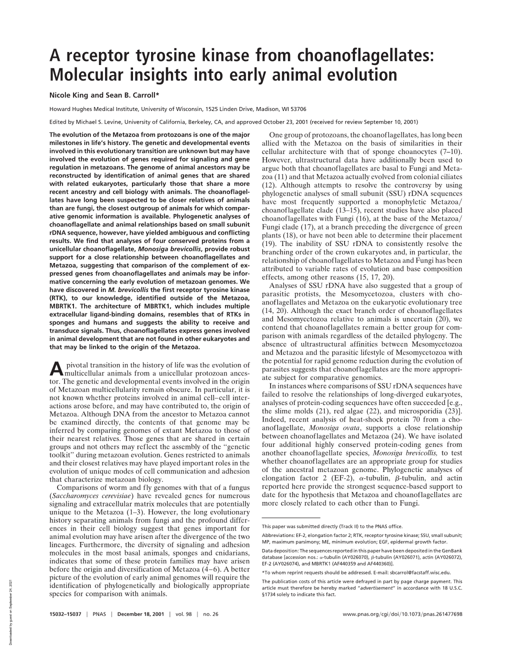 A Receptor Tyrosine Kinase from Choanoflagellates: Molecular Insights Into Early Animal Evolution