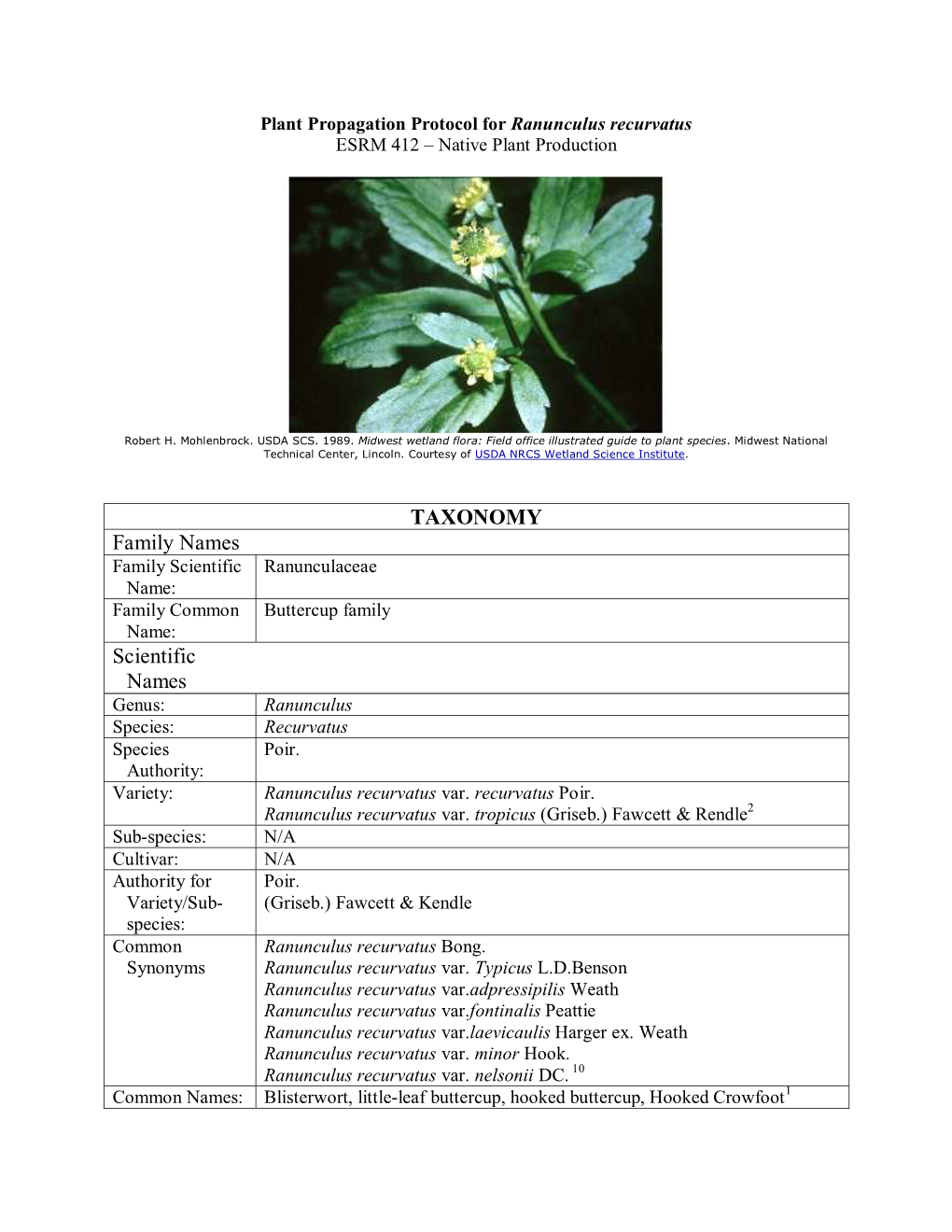 TAXONOMY Family Names Scientific Names