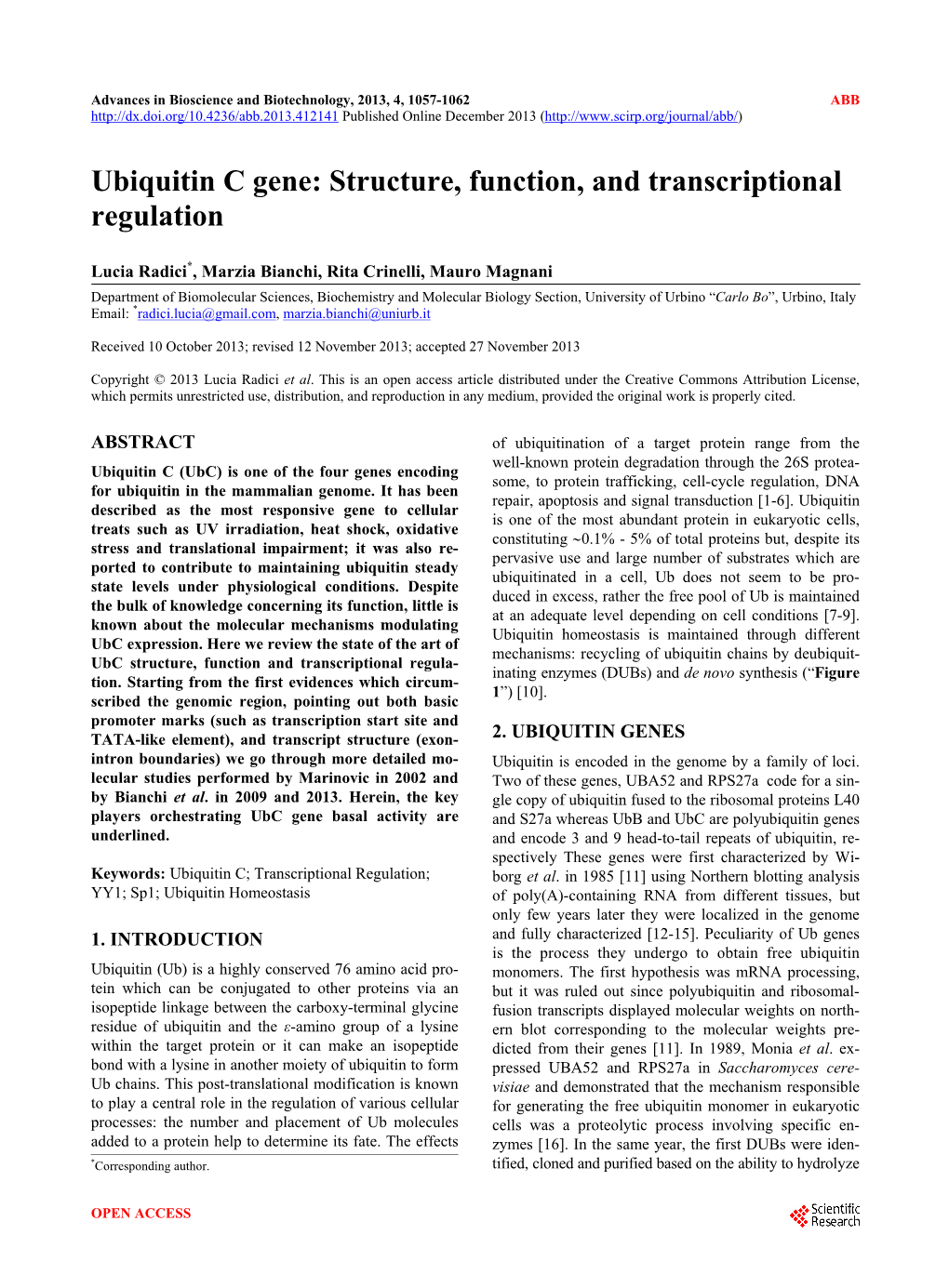 Ubiquitin C Gene: Structure, Function, and Transcriptional Regulation