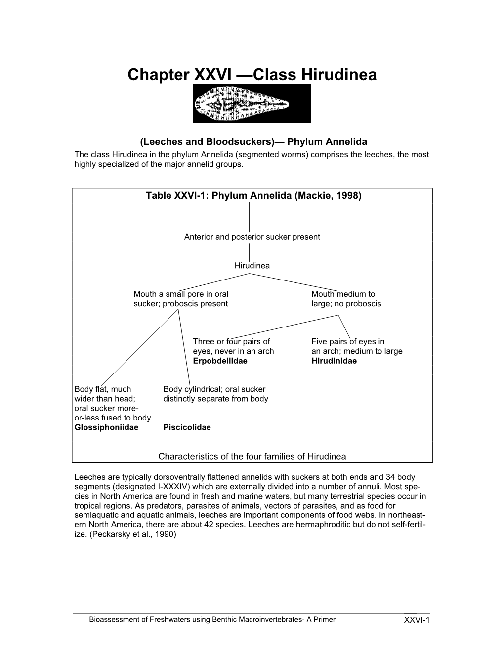 Chapter XXVI —Class Hirudinea