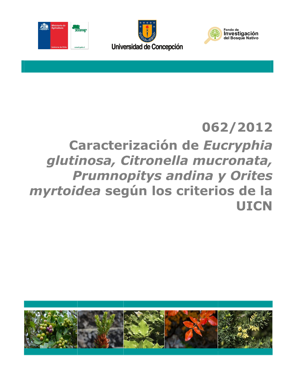062/2012 Caracterización De Eucryphia Glutinosa, Citronella Mucronata, Prumnopitys Andina Y Orites Myrtoidea Según Los Criterios De La UICN
