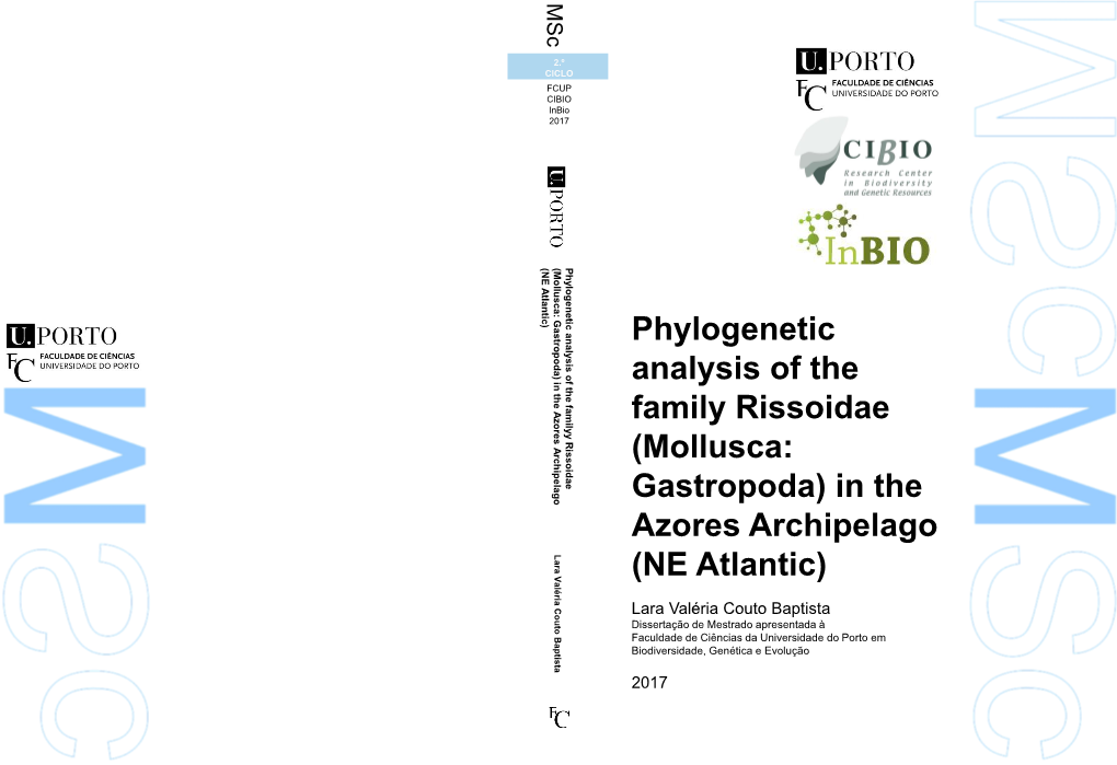 Phylogenetic Analysis of the Family Rissoidae (Mollusca: Gastropoda) in the Azores Archipelago (NE Atlantic)