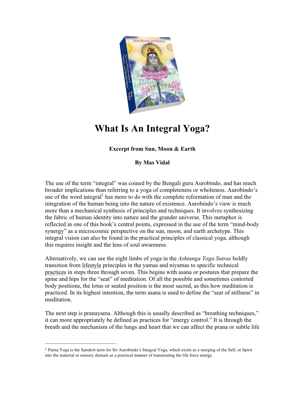 What Is an Integral Yoga?