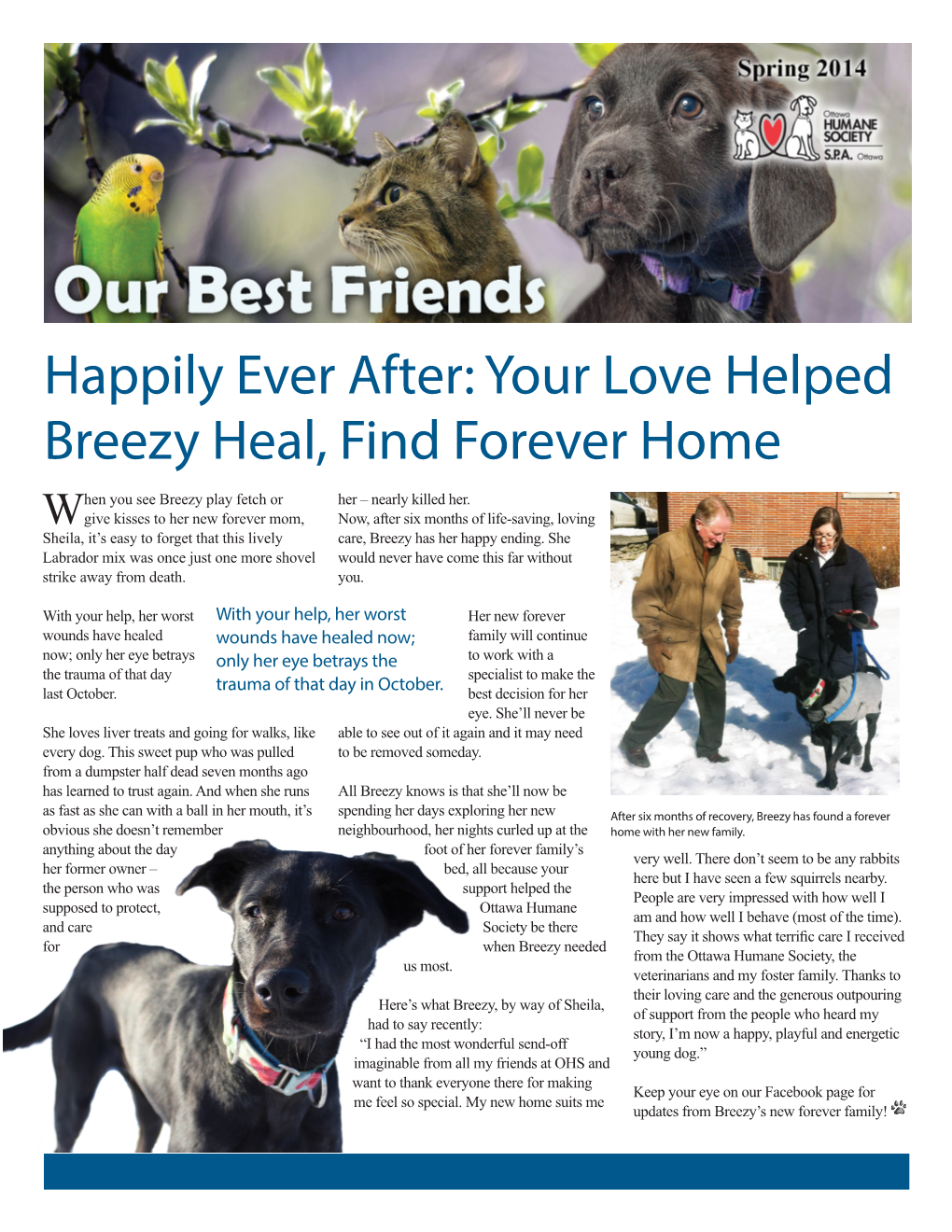 Happily Ever After: Your Love Helped Breezy Heal, Find Forever Home