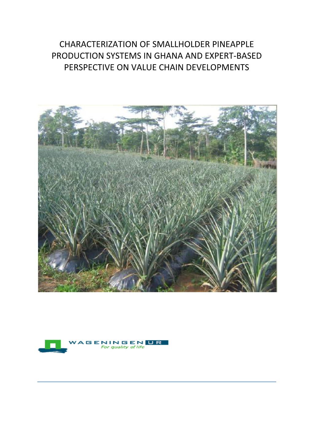 Characterization of Smallholder Pineapple Production Systems in Ghana and Expert-Based Perspective on Value Chain Developments
