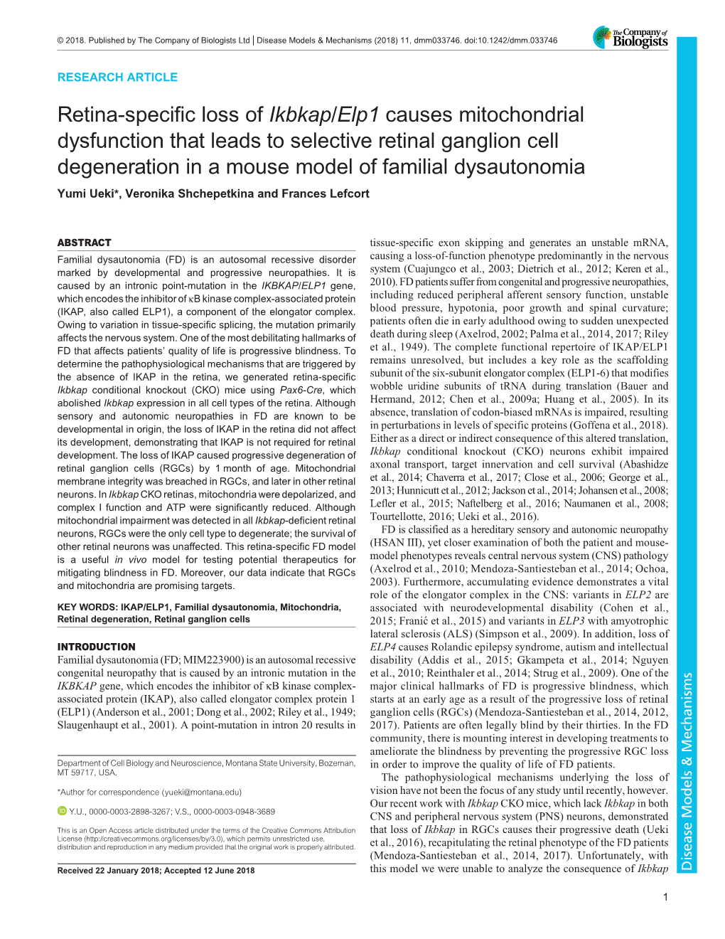 Retina-Specific Loss of Ikbkap/Elp1 Causes Mitochondrial Dysfunction