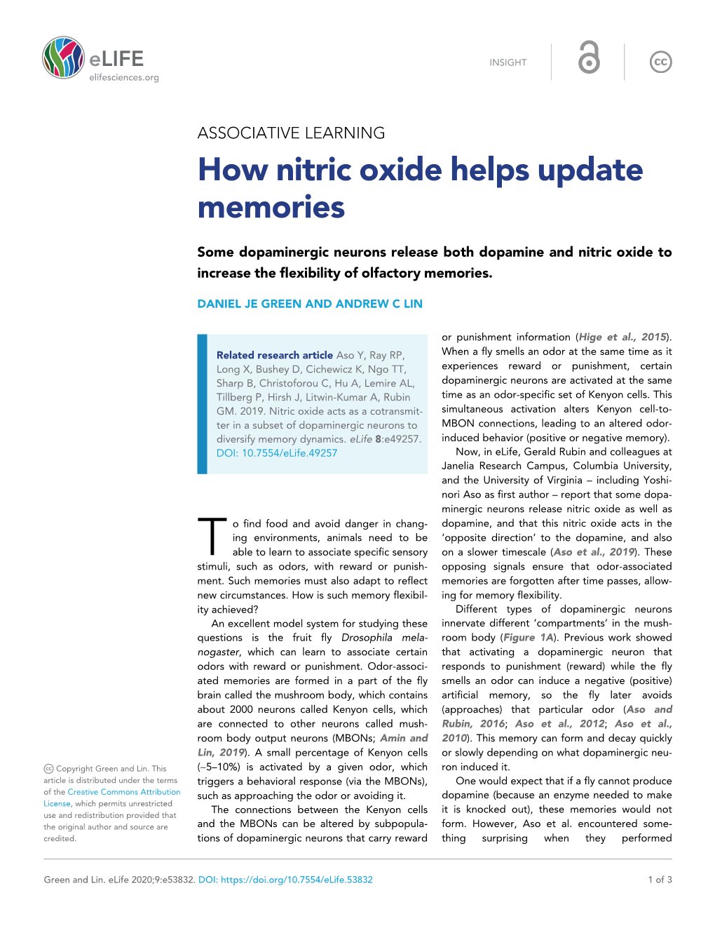 How Nitric Oxide Helps Update Memories