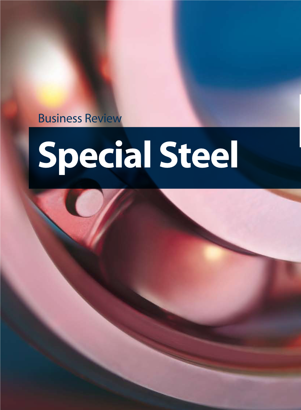 Business Review Special Steel