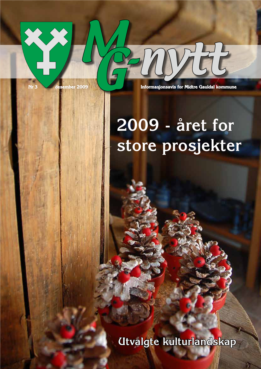 2009 G Informasjonsavis for Midtre Gauldal Kommune 2009 - Året for Store Prosjekter