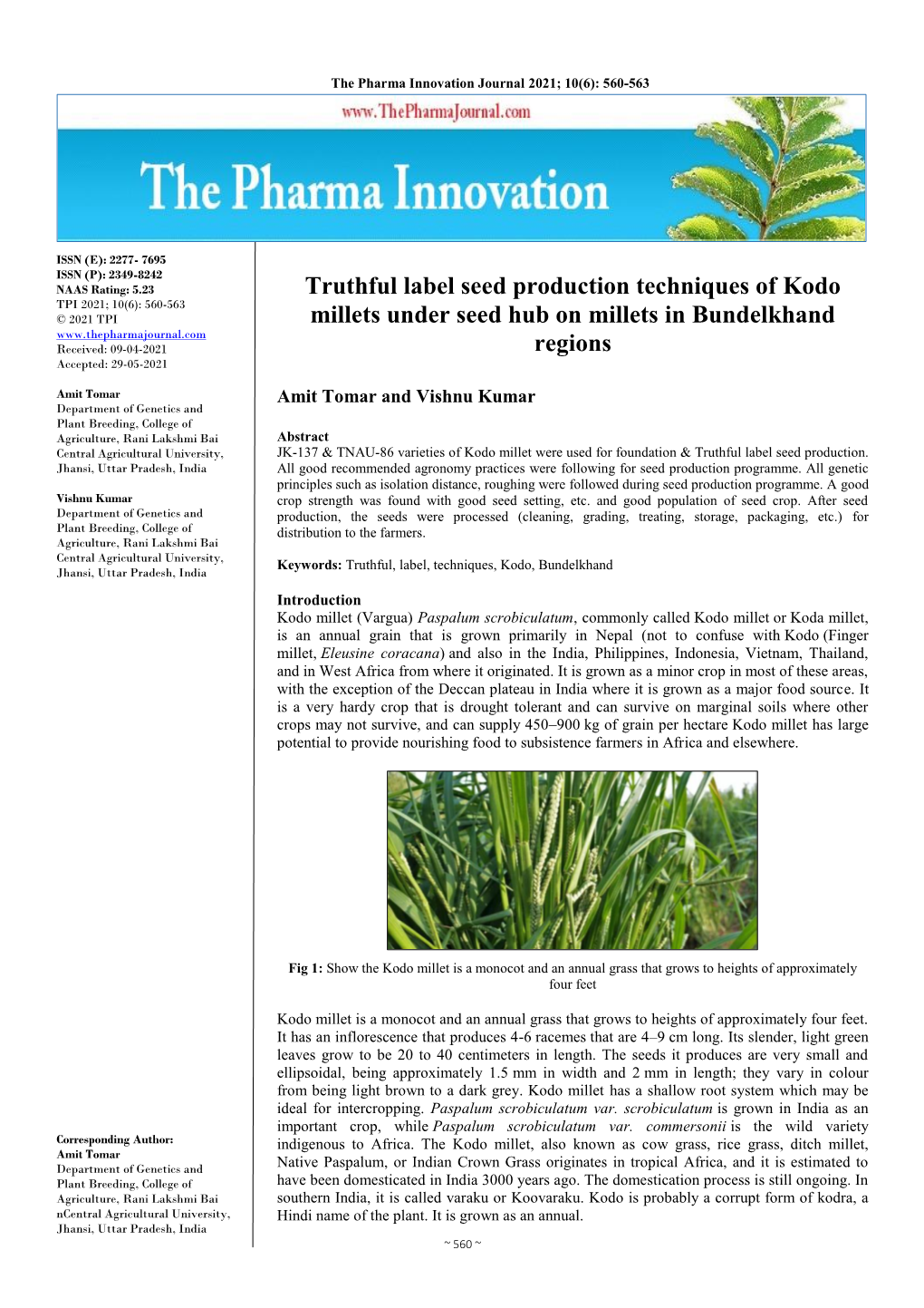 Truthful Label Seed Production Techniques of Kodo Millets Under