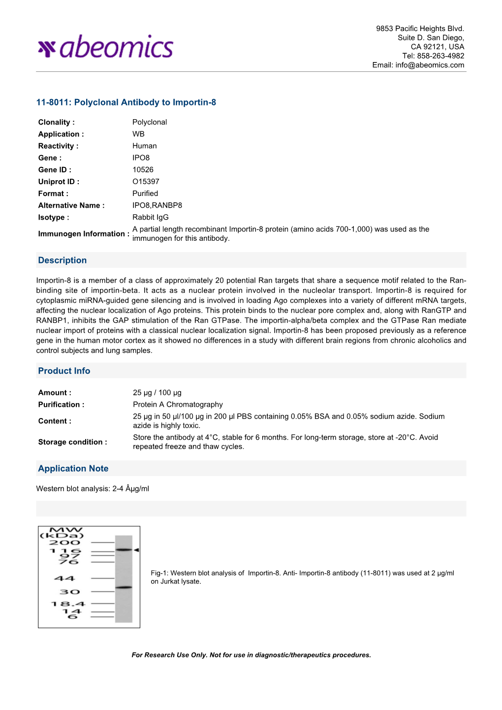 Polyclonal Antibody to Importin-8 Description Product Info
