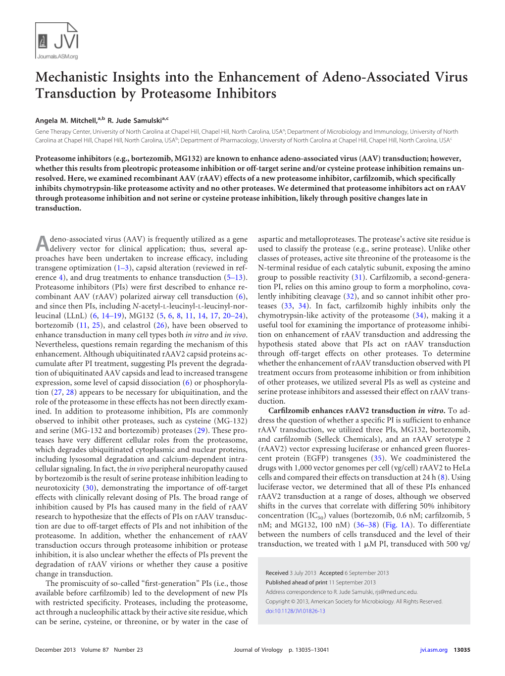 Mechanistic Insights Into the Enhancement of Adeno-Associated Virus Transduction by Proteasome Inhibitors