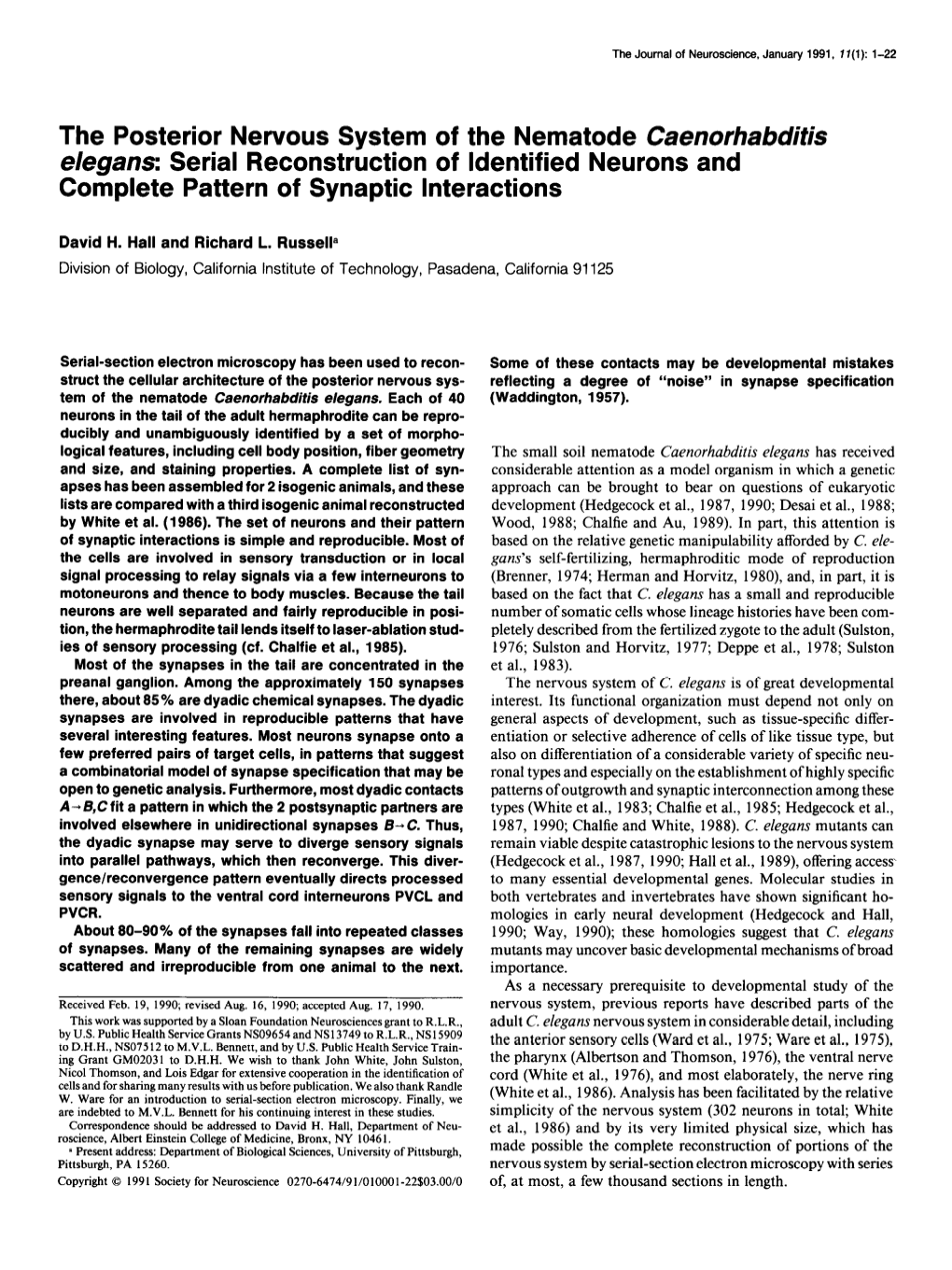 The Posterior Nervous System of the Nematode Caenorhabditis Elegans: Serial Reconstruction of Identified Neurons and Complete Pattern of Synaptic Interactions