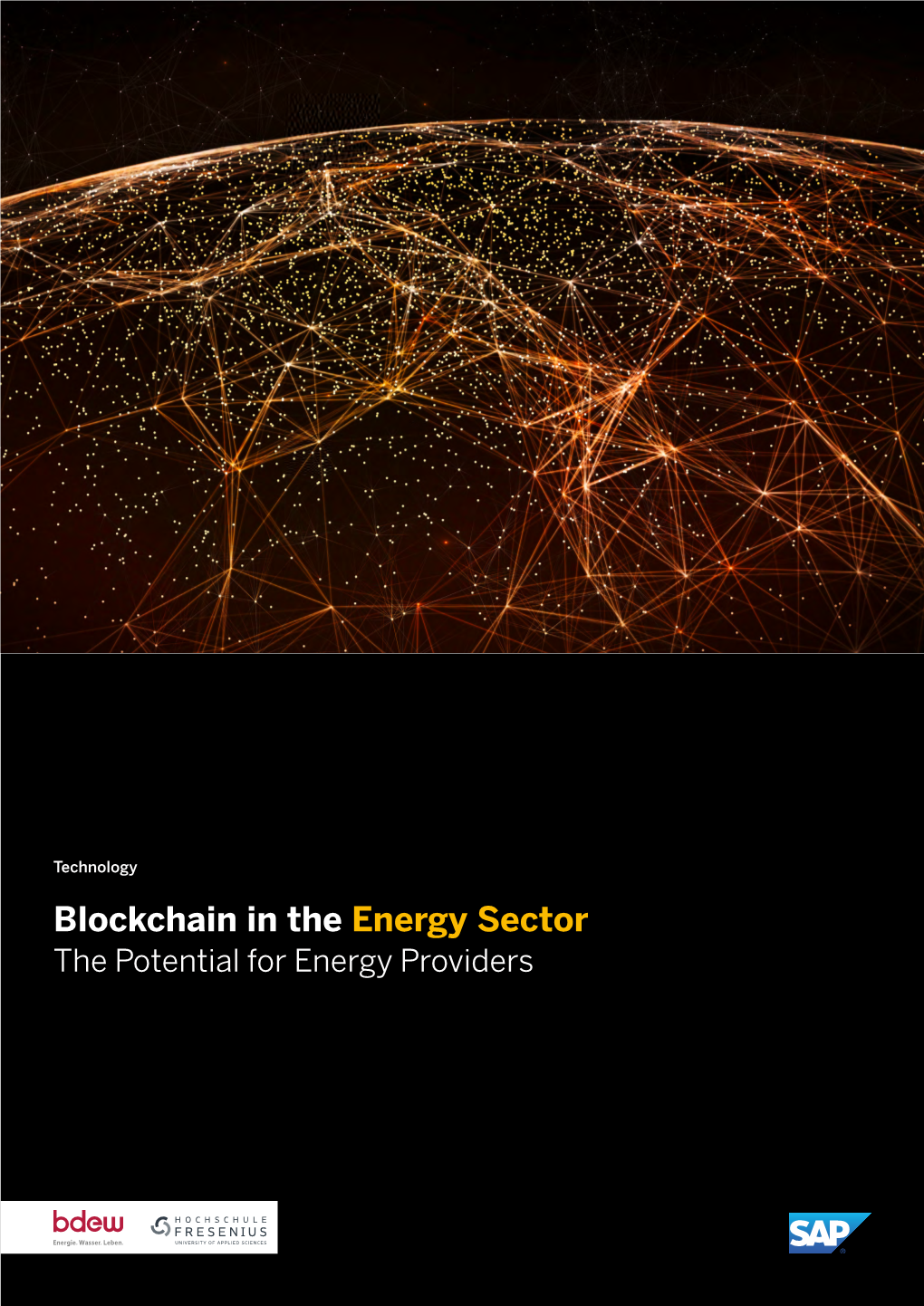Blockchain in the Energy Sector the Potential for Energy Providers 2 Blockchain in the Energy Sector Table of Contents