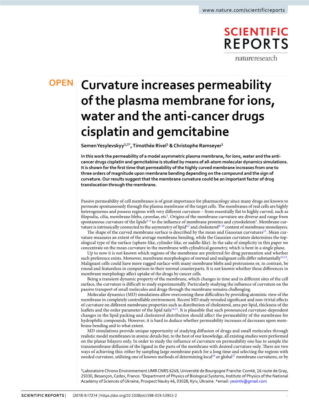 Curvature Increases Permeability of the Plasma Membrane For