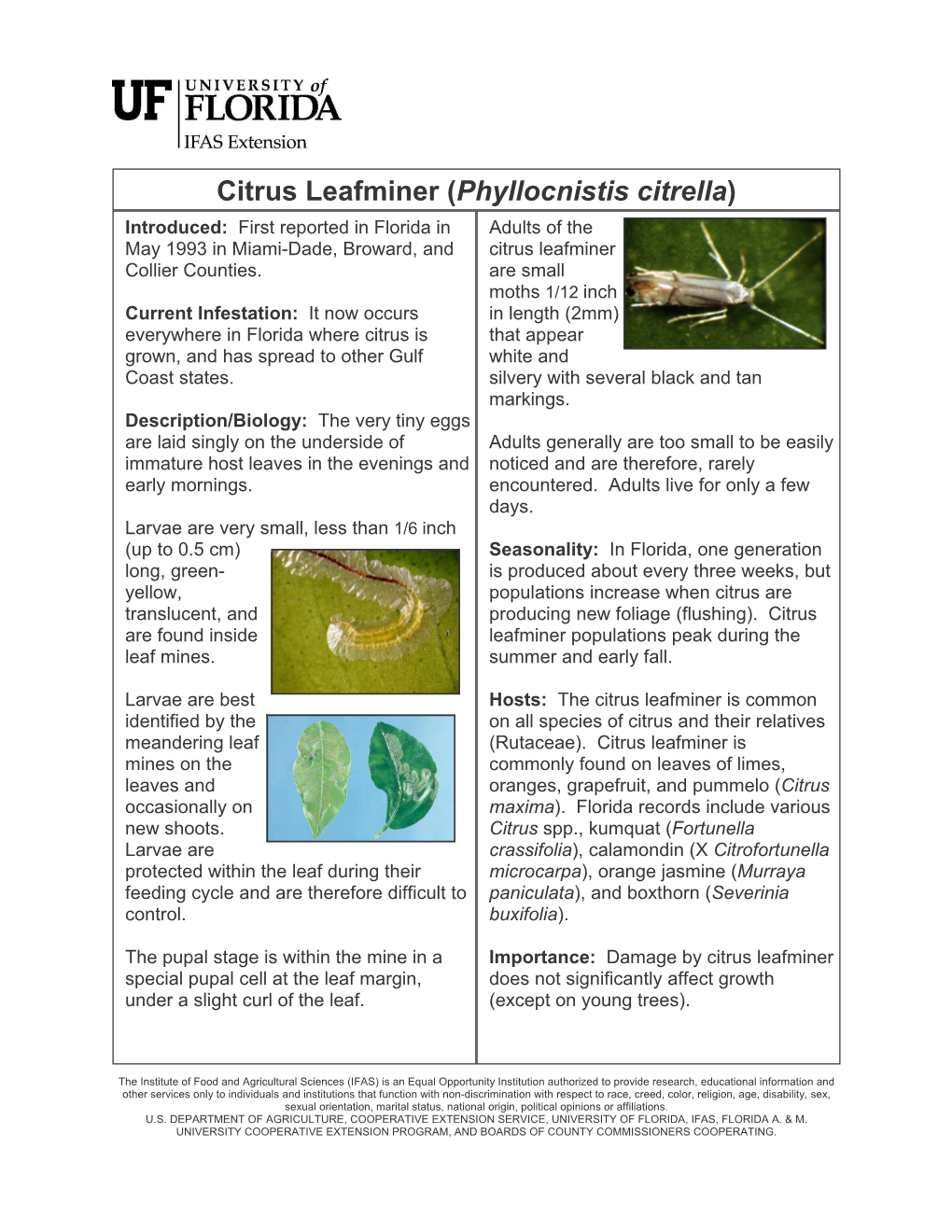 Citrus Leafminer.Pub (Read-Only)