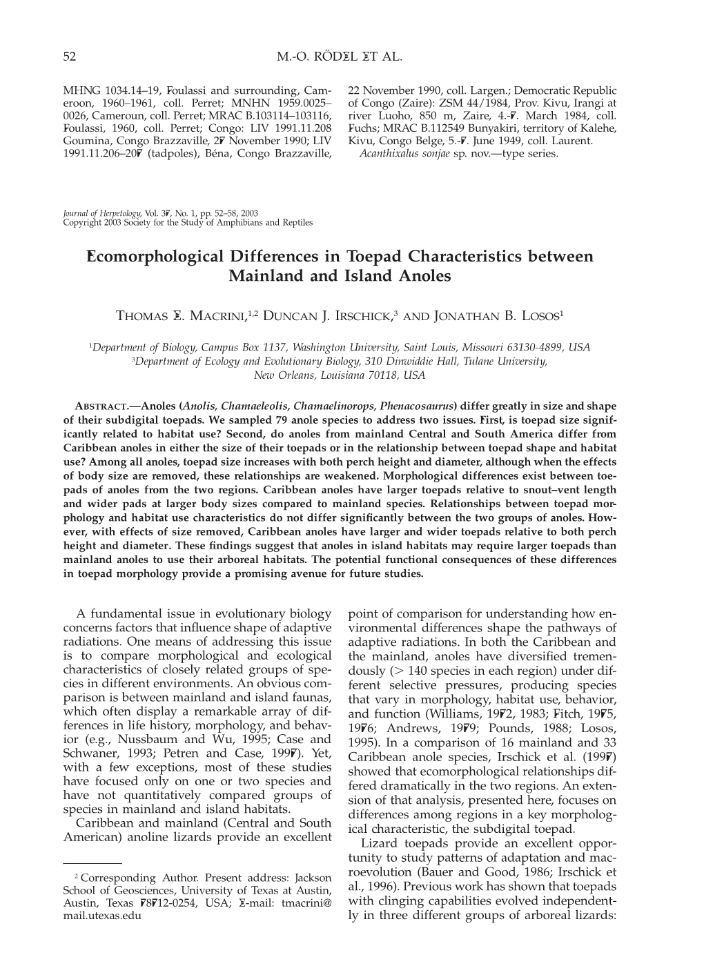 Ecomorphological Differences in Toepad Characteristics Between Mainland and Island Anoles