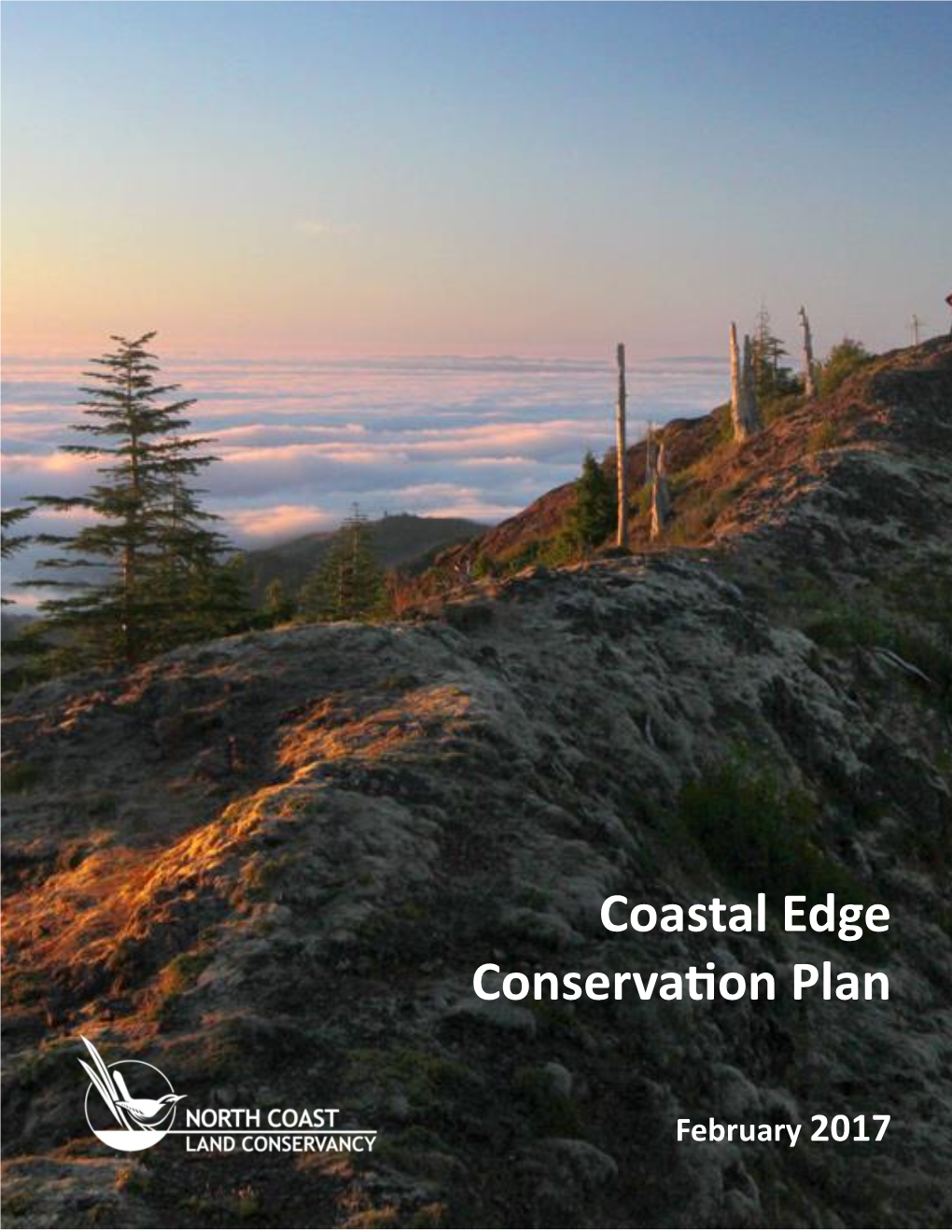 Coastal Edge Conservation Plan