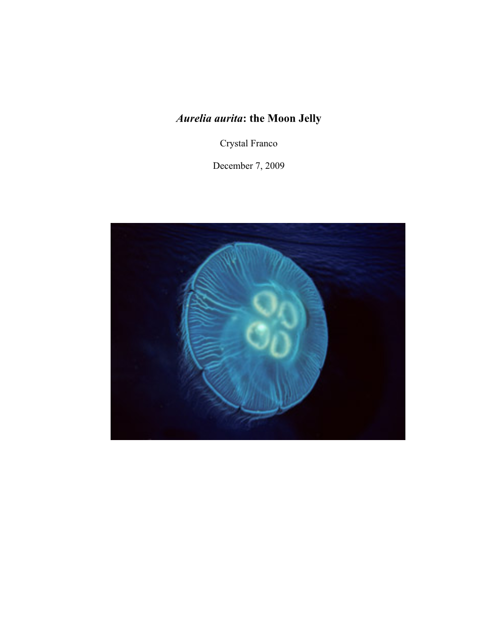 Aurelia Aurita: the Moon Jelly