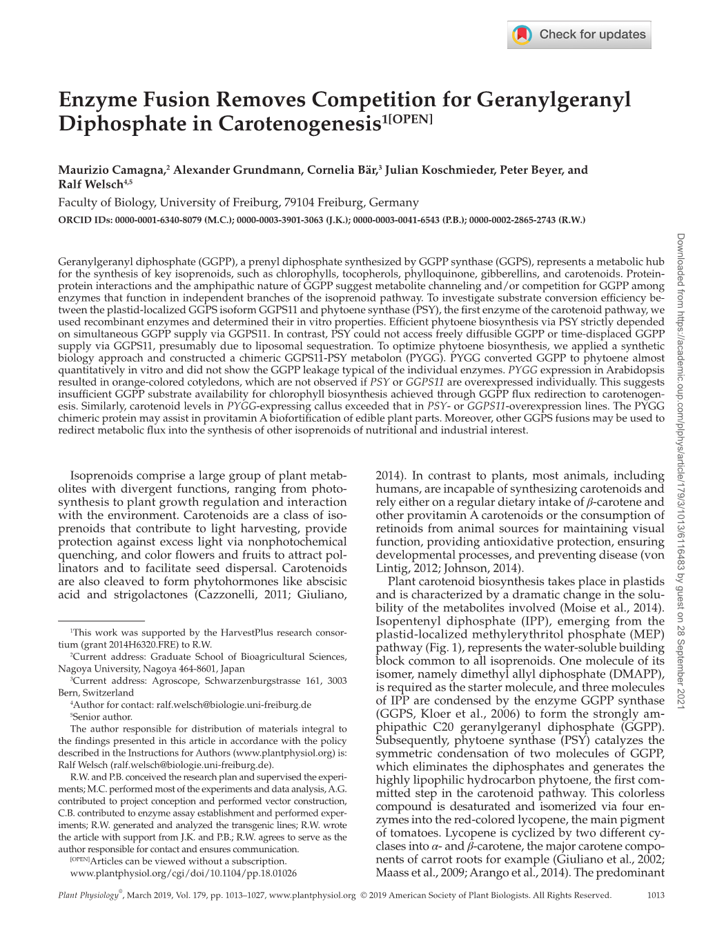 Enzyme Fusion Removes Competition for Geranylgeranyl Diphosphate in Carotenogenesis1[OPEN]