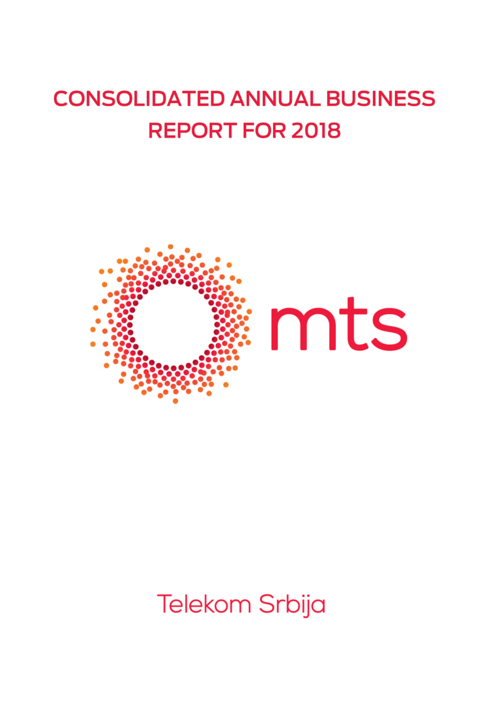 Consolidated Annual Business Report for 2018