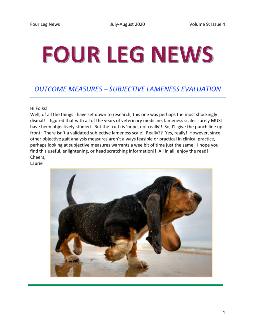 Subjective Lameness Evaluation