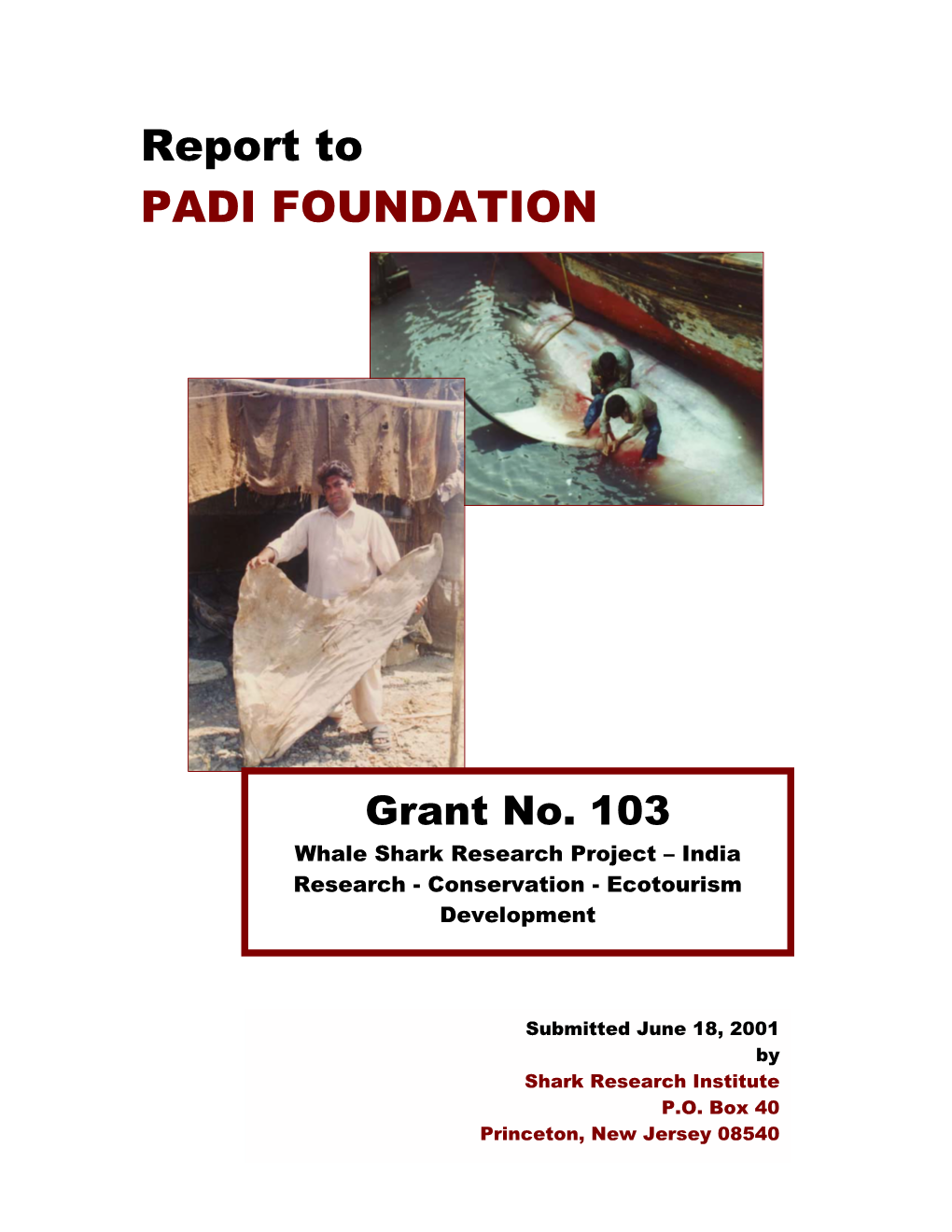 Report to PADI FOUNDATION