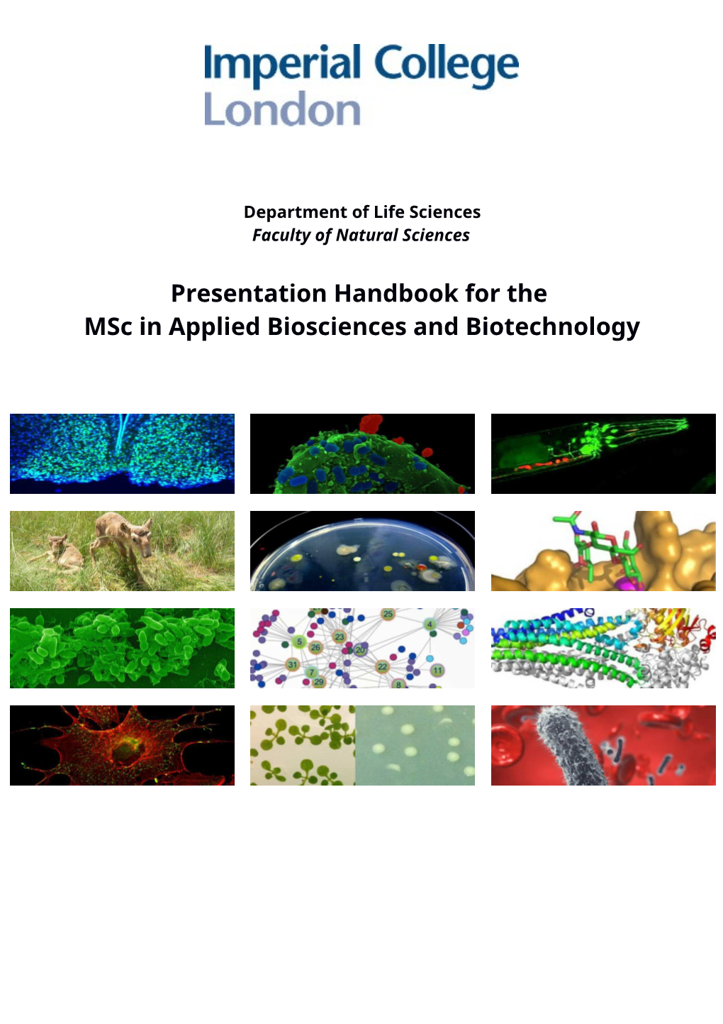 Presentation Handbook for the Msc in Applied