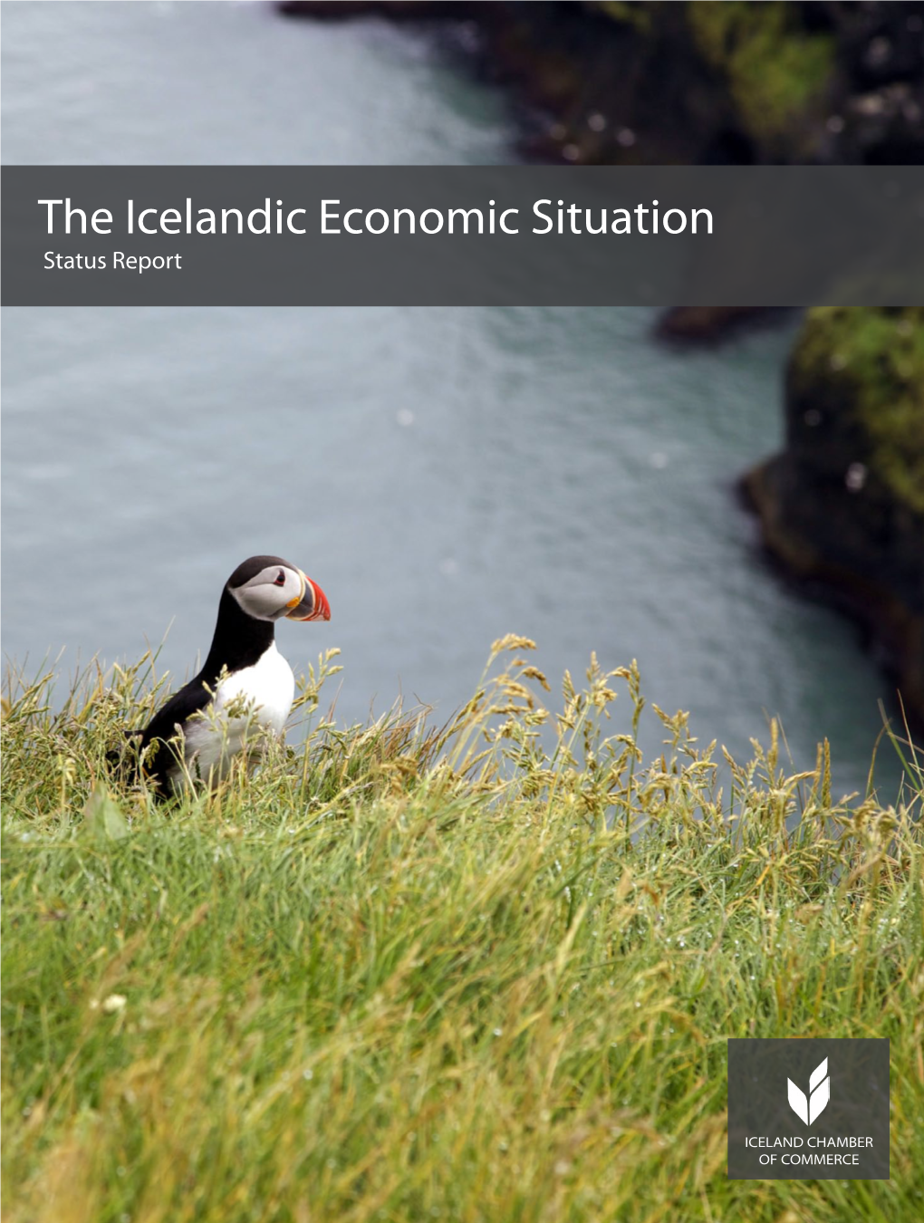 The Icelandic Economic Situation Status Report