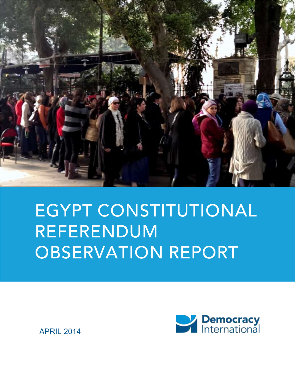 Egypt Constitutional Referendum Observation Report.Pdf