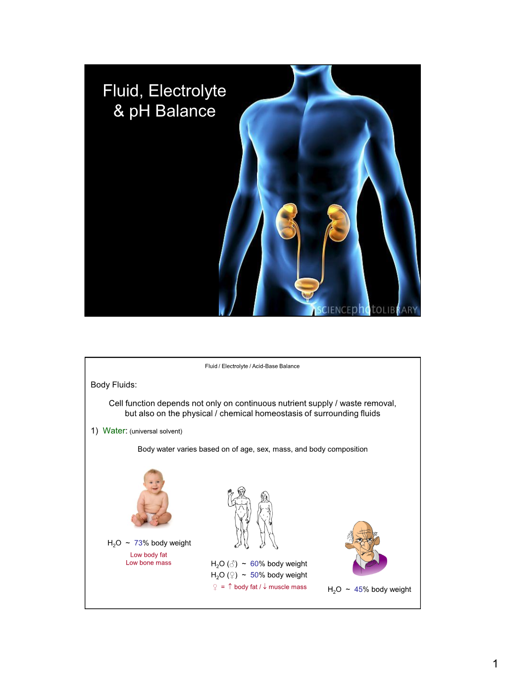 Fluid, Electrolyte & Ph Balance