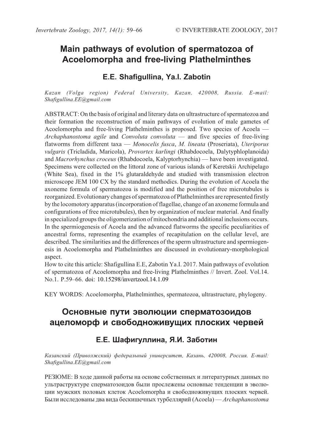 Pathways of Evolution of Spermatozoa of Acoelomorpha and Free-Living Plathelminthes